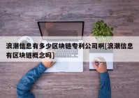 浪潮信息有多少区块链专利公司啊[浪潮信息有区块链概念吗]