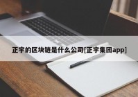 正宇的区块链是什么公司[正宇集团app]