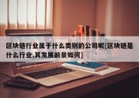 区块链行业属于什么类别的公司呢[区块链是什么行业,其发展前景如何]